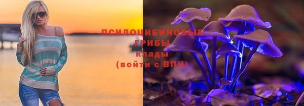 тгк Бородино