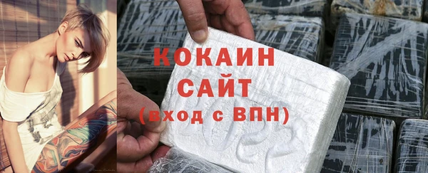тгк Бородино